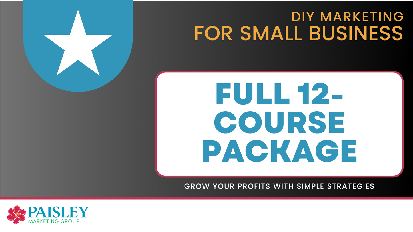 Full 12-Course DIY Marketing for Small Business (Discounts Show in CART)